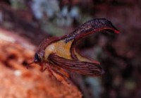 /album/fotogaleria/images-39-jpg/